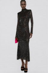 Roisea Long Sleeve Rhinestone Maxi Dress