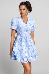 Tarynl V Neck Flower Embroidered Mini Dress