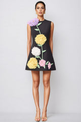 Codi Black Buttercup Embroidered Mini Dress