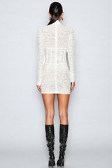 Emilsf Lace Jacquard Mini Dress
