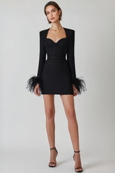 Delphinia Sexy Long Sleeve Feathers Mini Dress