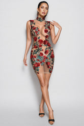 Isla Sequin Mesh Mini Dress