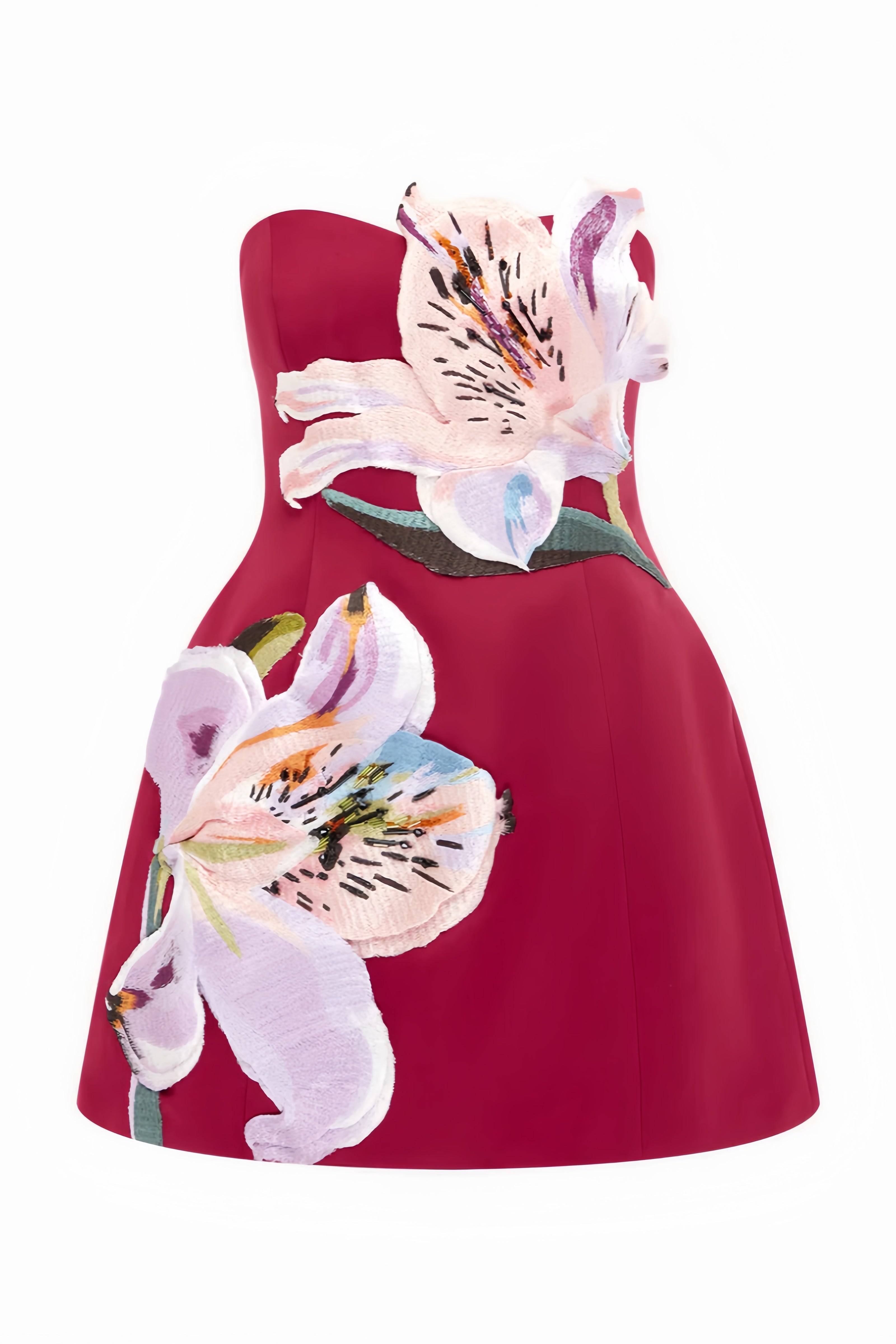 Ryron Red Floral Bustier Mini Dress