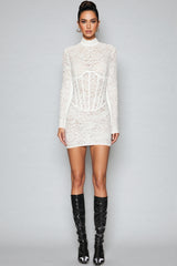Emilsf Lace Jacquard Mini Dress