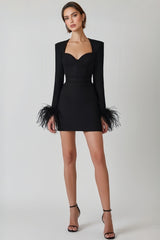 Delphinia Sexy Long Sleeve Feathers Mini Dress