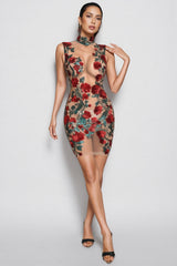 Isla Sequin Mesh Mini Dress