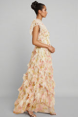 Alden Embroidered Printed Sleeveless Maxi Dress